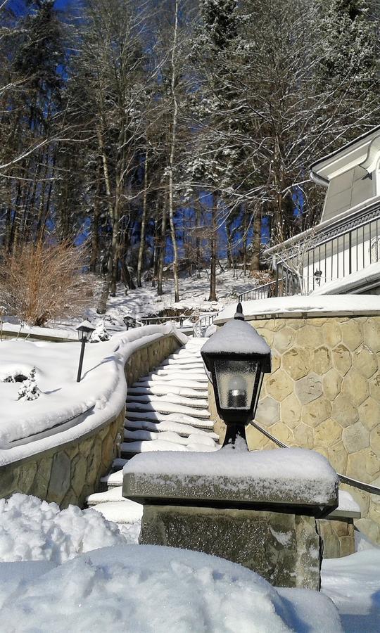 Lesna Polana- Blisko Centrum, Mini Spa, Cicha, Spokojna Okolica, Parking Gratis Krynica Zdroj Exterior photo