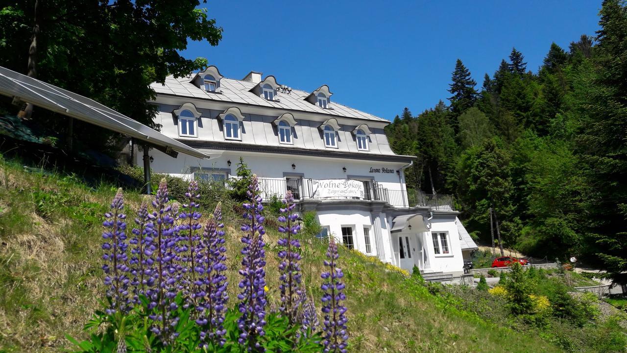 Lesna Polana- Blisko Centrum, Mini Spa, Cicha, Spokojna Okolica, Parking Gratis Krynica Zdroj Exterior photo